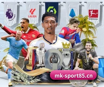MK体育sport85 APP